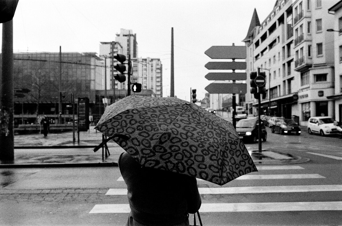 Картинка с бесплатного фотостока https://www.pexels.com, автор Alexis B