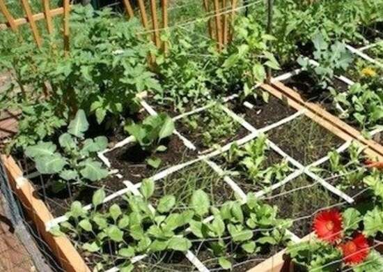 Посадка наглядно. Кстати, на фото автор нарушил одно из правил этой системы, ящики стоят впритык, что затрудняет обслуживание.