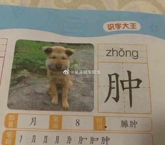 взято из 微博