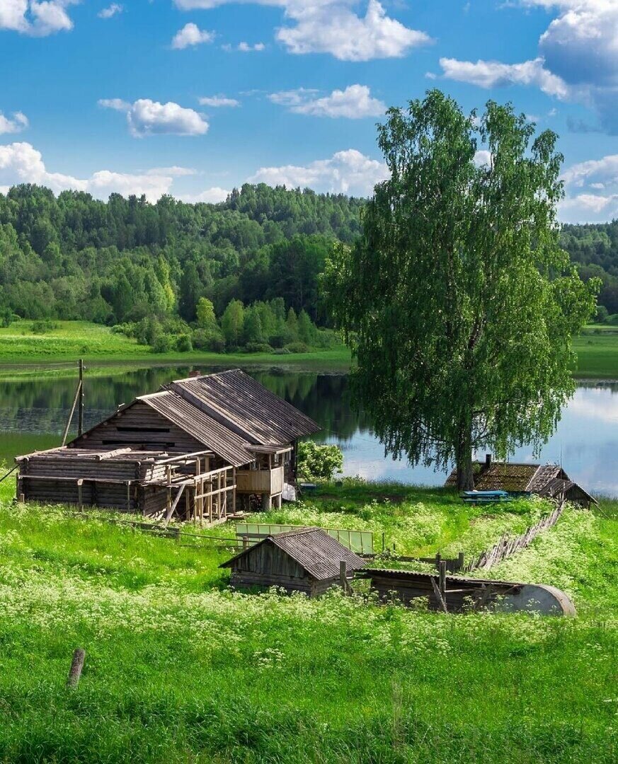 Фото из интернета 