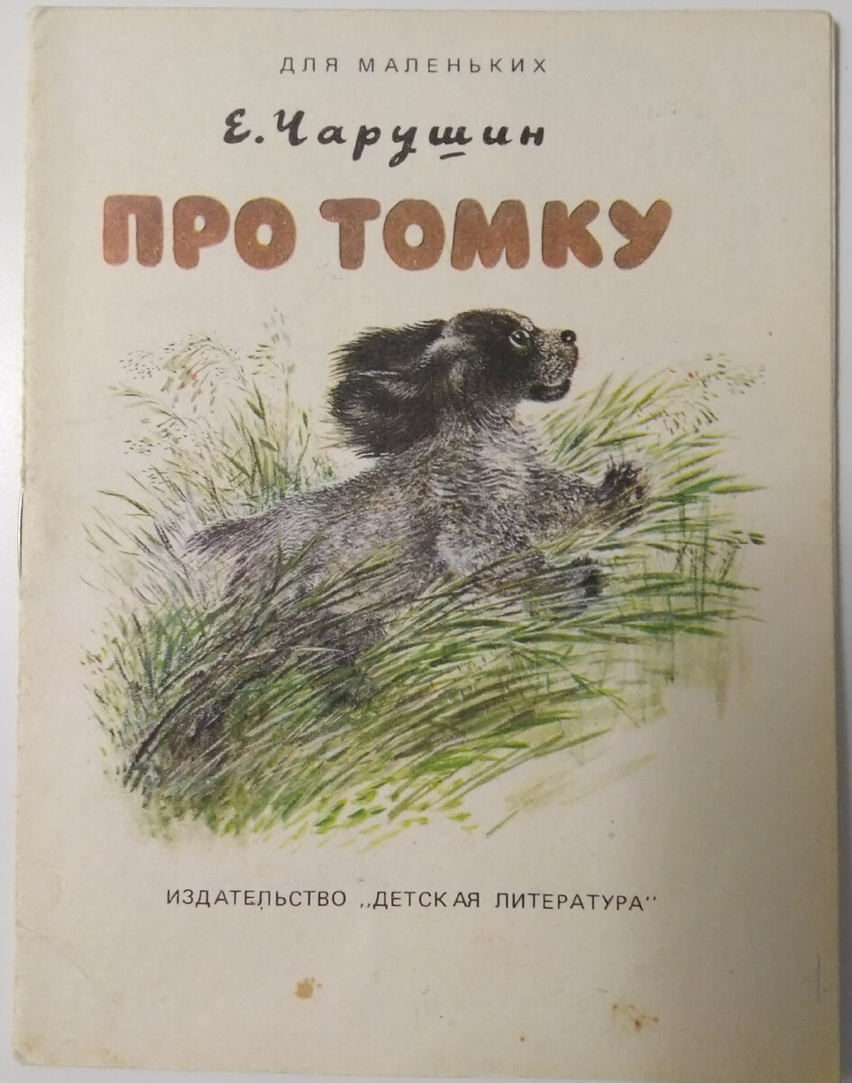 Евгений Чарушин - самый яркий и совершенно невероятный детский иллюстратор  | Наталья Почуева 