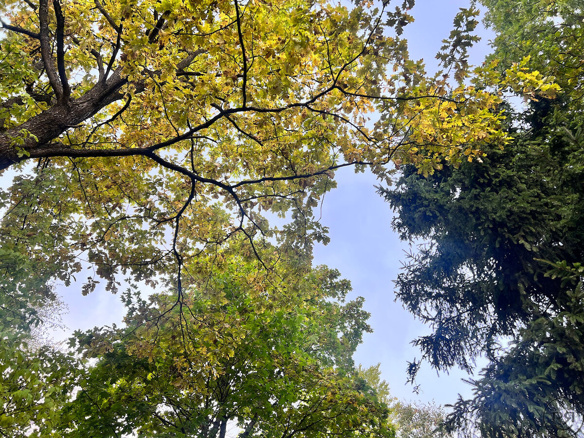 Строим кемпер: про солнечную батарею и пасмурную погоду | РЯБИНИН ...