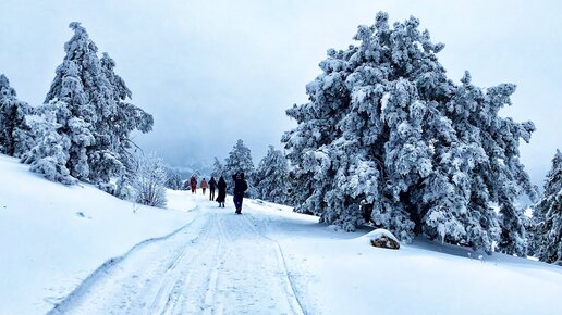 What the WEATHER does in the CRIMEA. Everything was covered with Ice. Crimeans did not expect this.