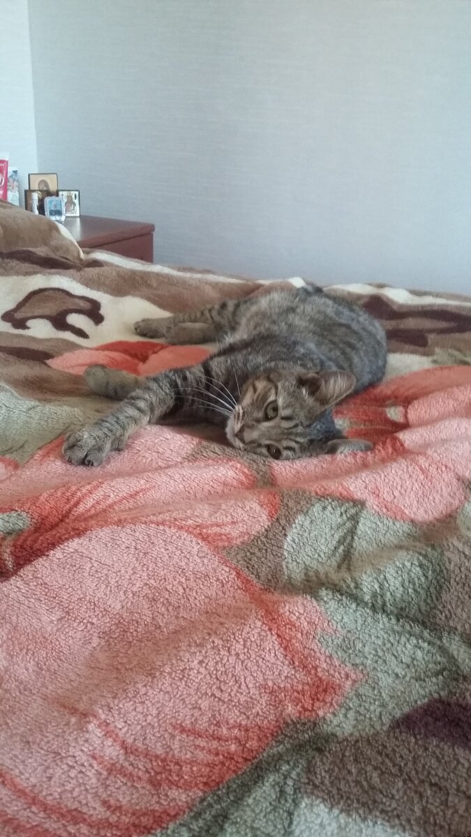 Фото, сделанные в первый день