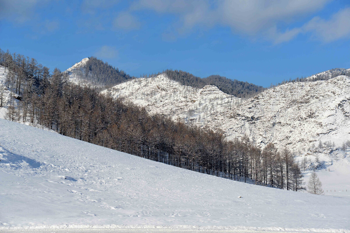 Фото Ольга Шадрина