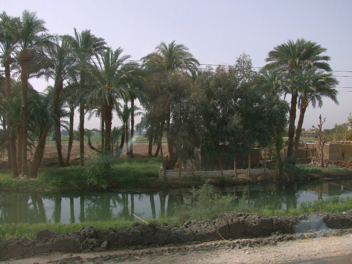 Типичный пейзаж вдоль оросительного канала.