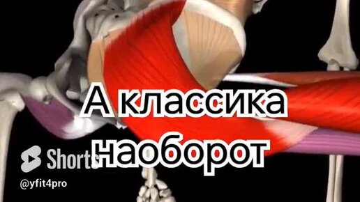 тяга сумо или классика что лучше