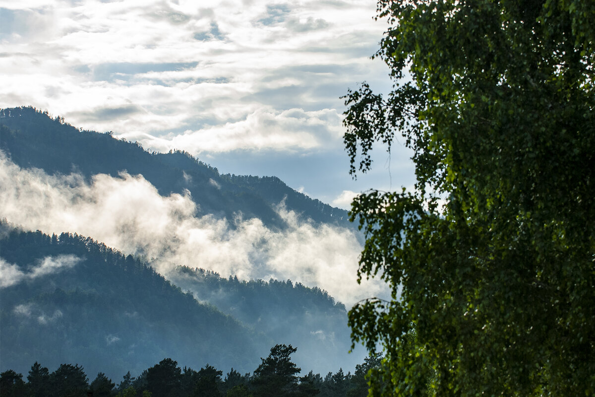 Всё в мире устроено не просто так и имеет свой смысл...