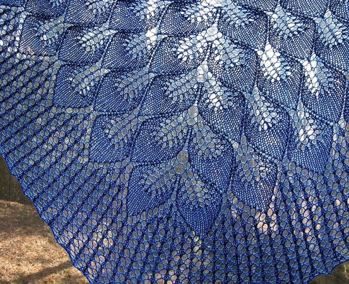 Фото из интернета