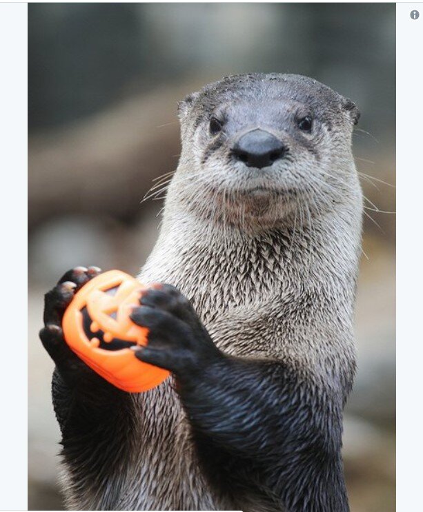 @CincinnatiZoo