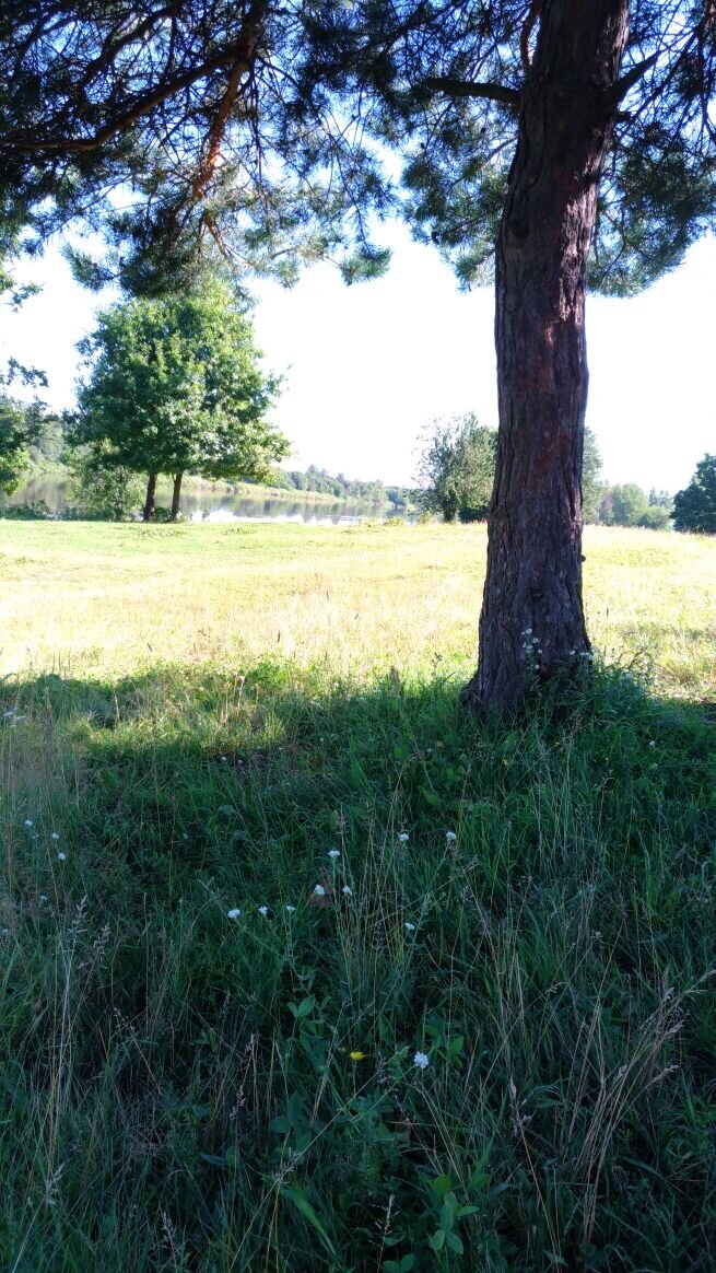 
Берег не очень пологий, но есть одно место где спуск хороший. Купаться можно. Кстати течение в реке приличное. До середины не доплывешь - снесет.
В монастыре монашки продают молоко, сыр, сметану, творог. Все свое. У них коровы. Кстати коровы 2 раза в день ходят вдоль берега утром и вечером.
Место подходит тем кто любит воздух, рыбалку, грибы, комаров и свободу.