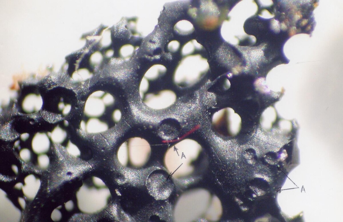 Образец "сеточки"