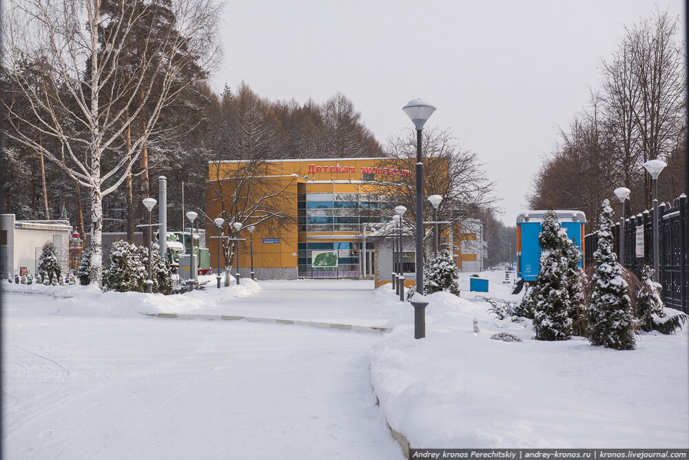 1. Нынешняя ДЖД в Ярославле открылась в 1970 году (за 13 лет до этого была закрыта первая ДЖД в городе)

