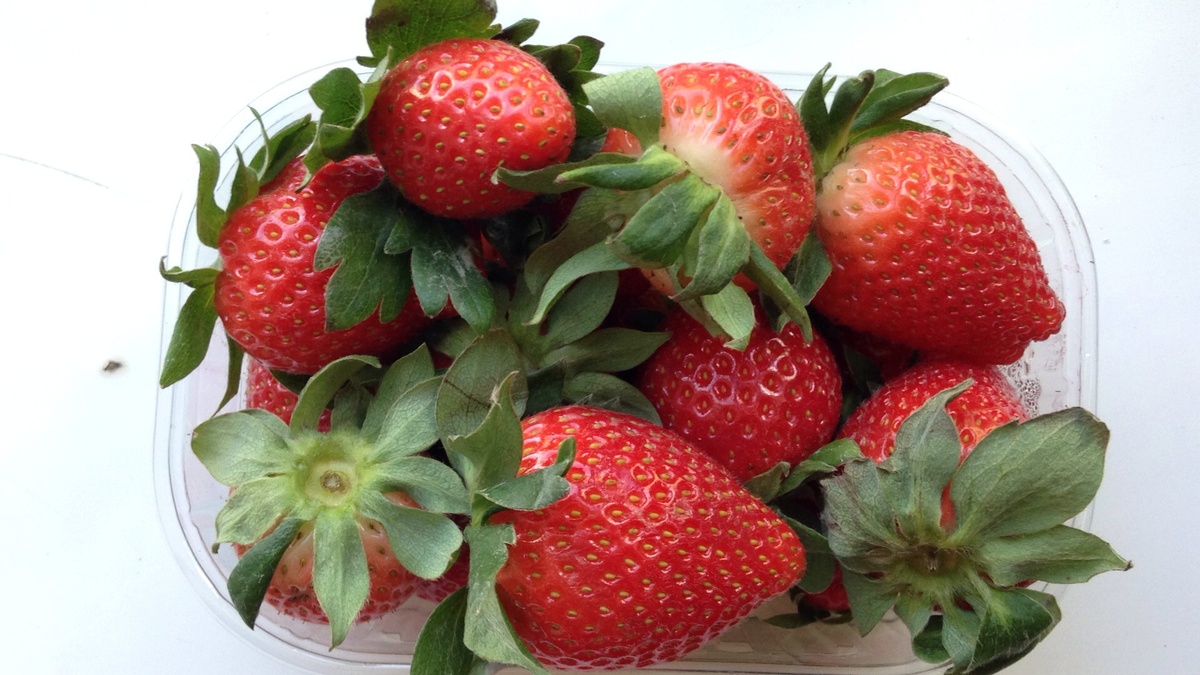 INSTAGRAM.com/karpmm