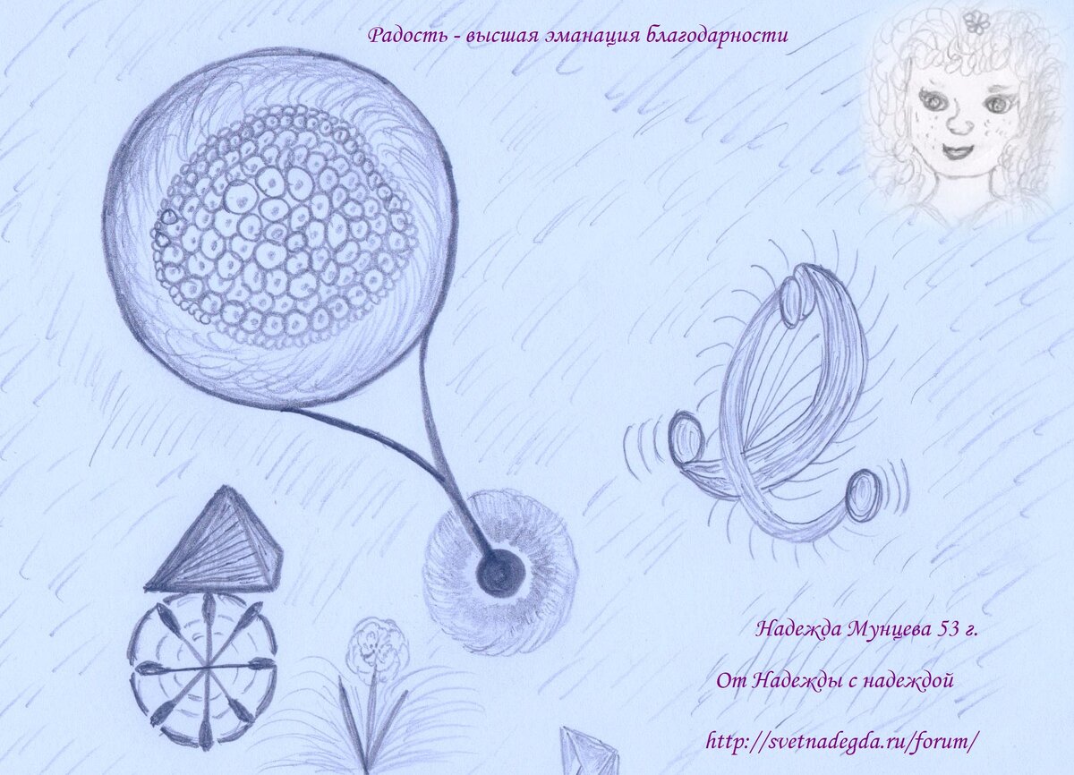 дневник моих надежд дзен