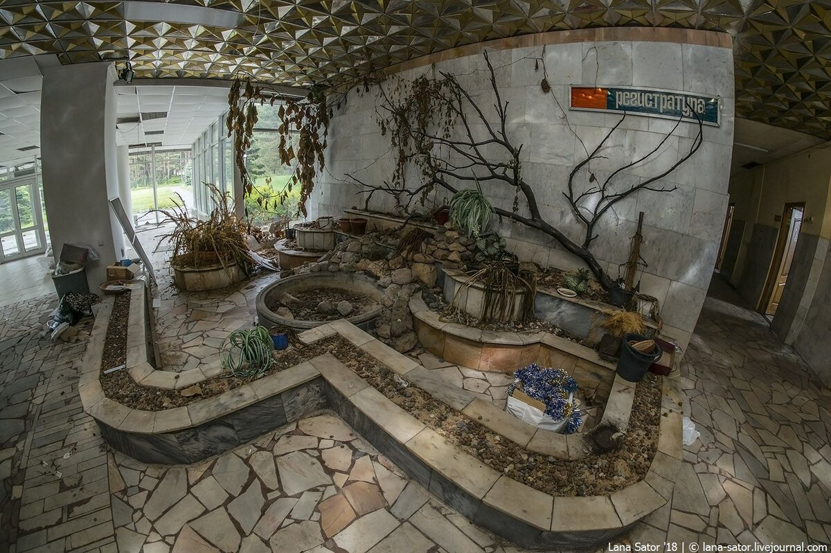 засыхающие растения на клумбе в холле