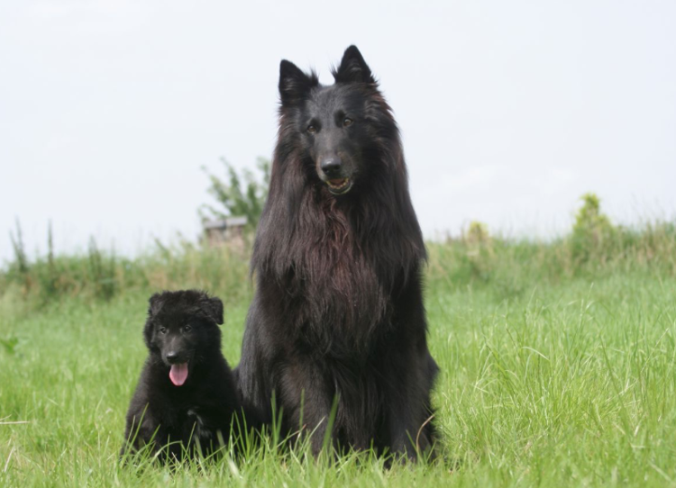 палец вверх этой семейке! 😍
