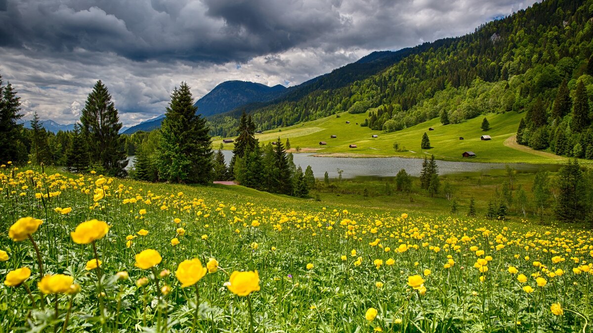 фото с сайта goodfon.com