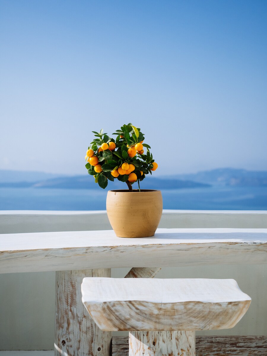 Photo by Tom Grimbert on Unsplash