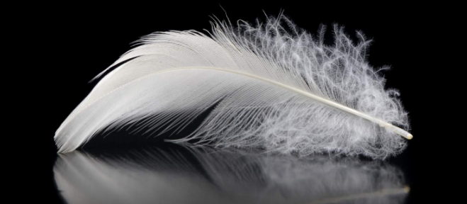 1. Благодаря более низкой плотности, Ceramin намного легче керамики и LVT. Легкий материал, с которым приятно работать.