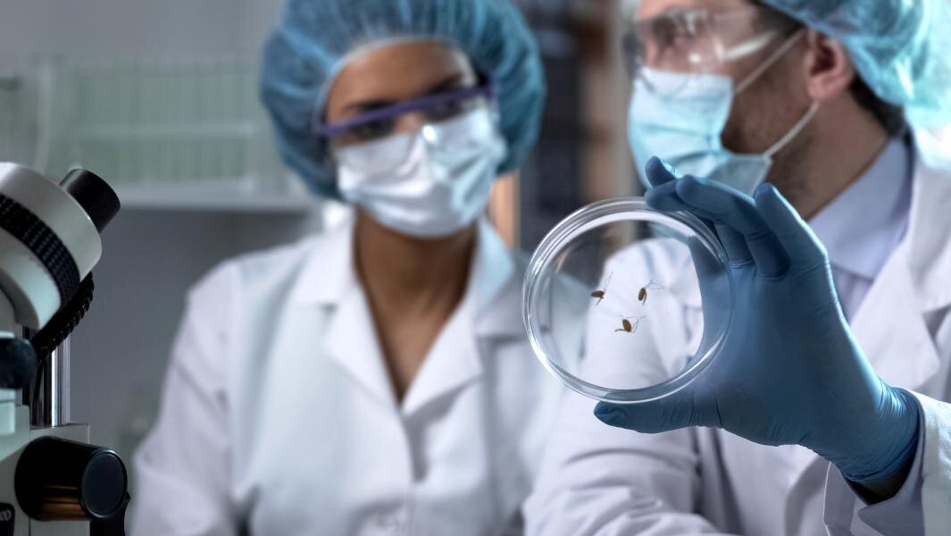 Фото: Depositphotos