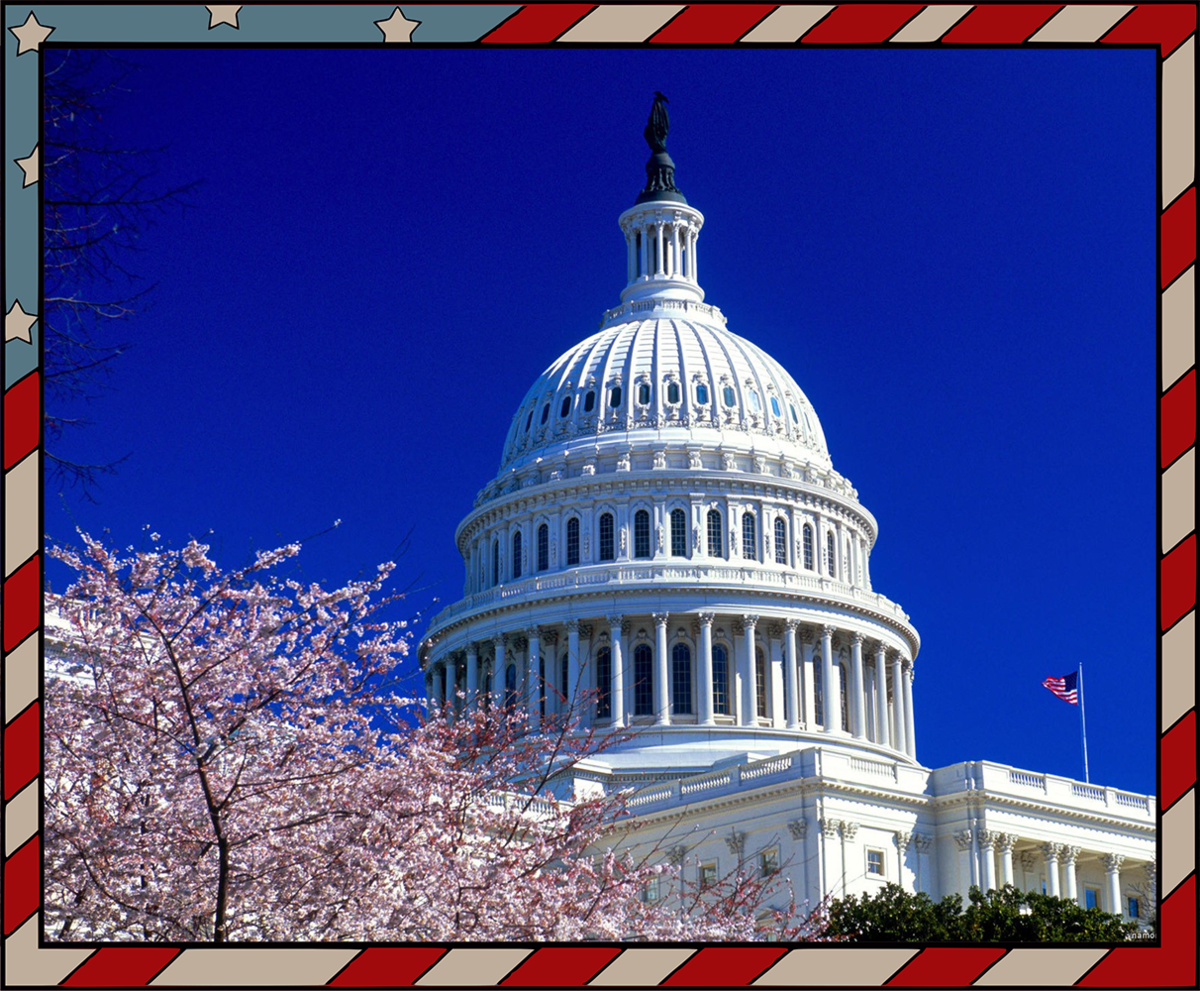 Источник: namonitore.ru