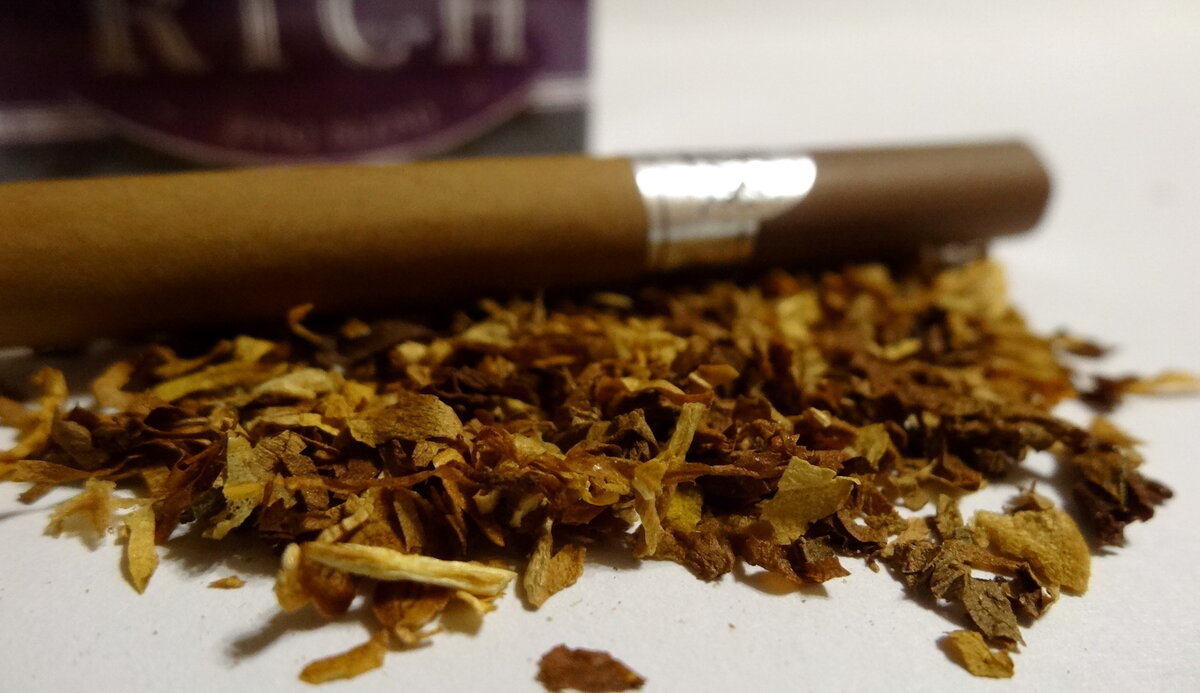 Дегустация сигарет Aroma Rich. | Уголок курильщика | Дзен