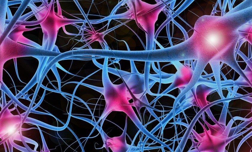 Как называются клетки головного мозга. Клетки мозга Нейроны. Нервная клетка Нейрон. Внеклеточный Матрикс нейрона.