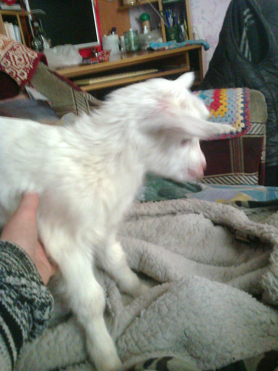 Малышка - проснулась