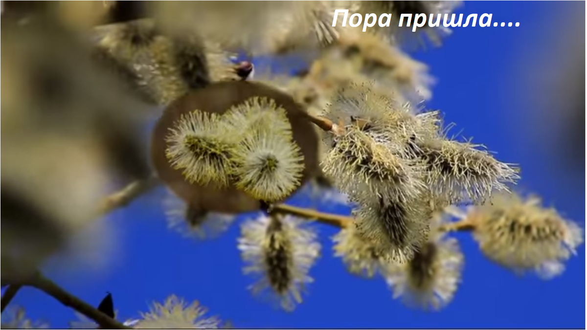 Пора худеть сейчас