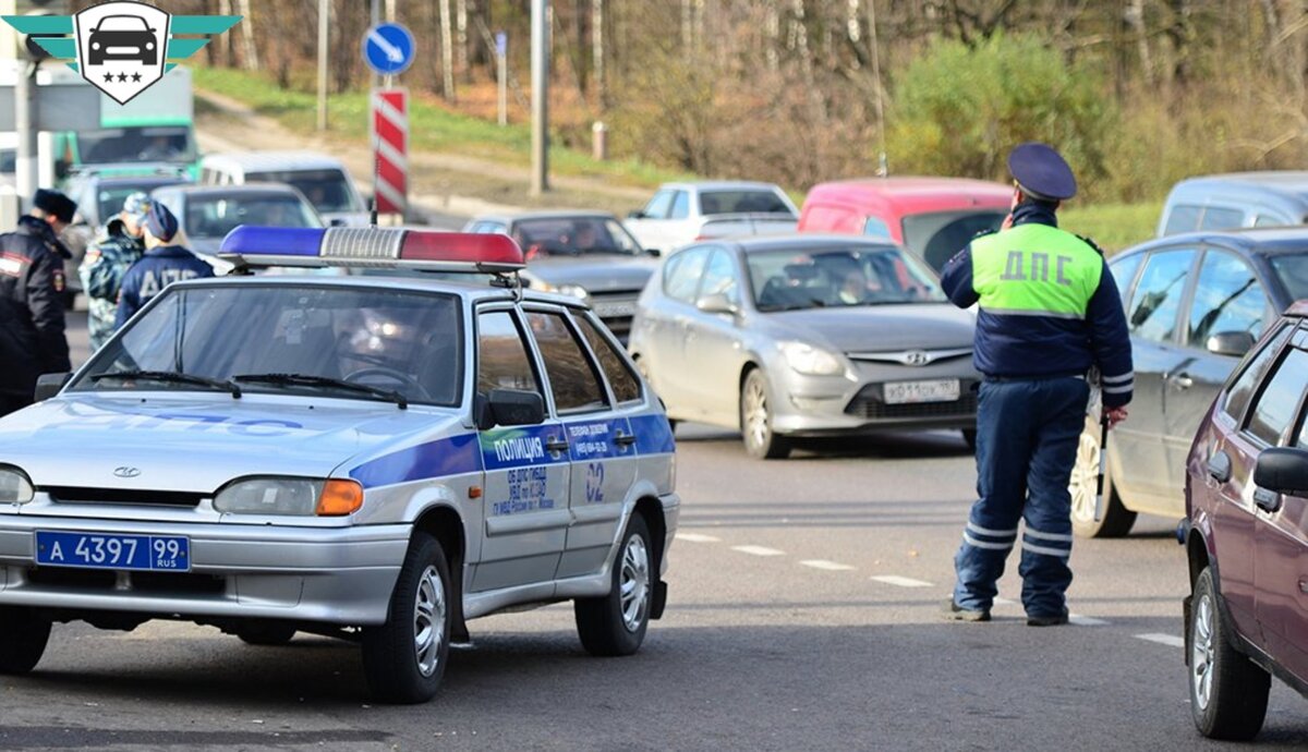 Много гаи. База злостных нарушителей ГИБДД. Покажи ДПС. База ГИБДД злостных нарушителей как выглядит. ГИБДД Новочебоксарск осмотр автомобилей.