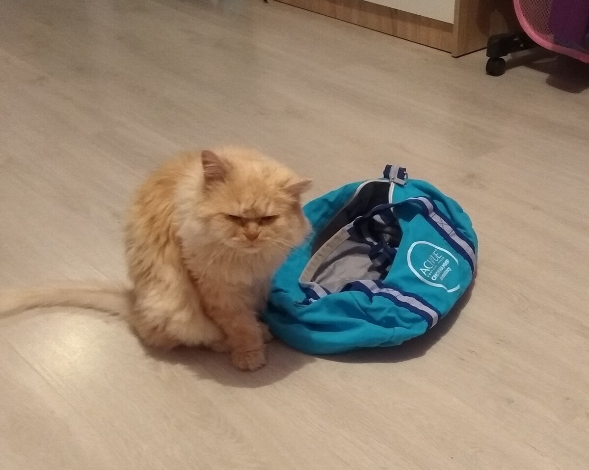 Собираем вещи)