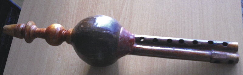 Индийский инструмент Пунги. Фото из открытого источника.