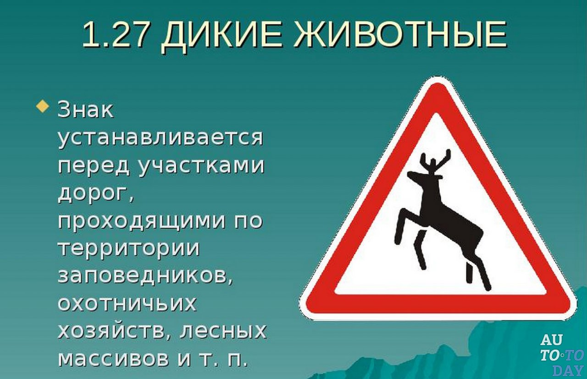 Каждый водитель должен знать о дорожных знаках ВСЕ | Auto.Today | Дзен