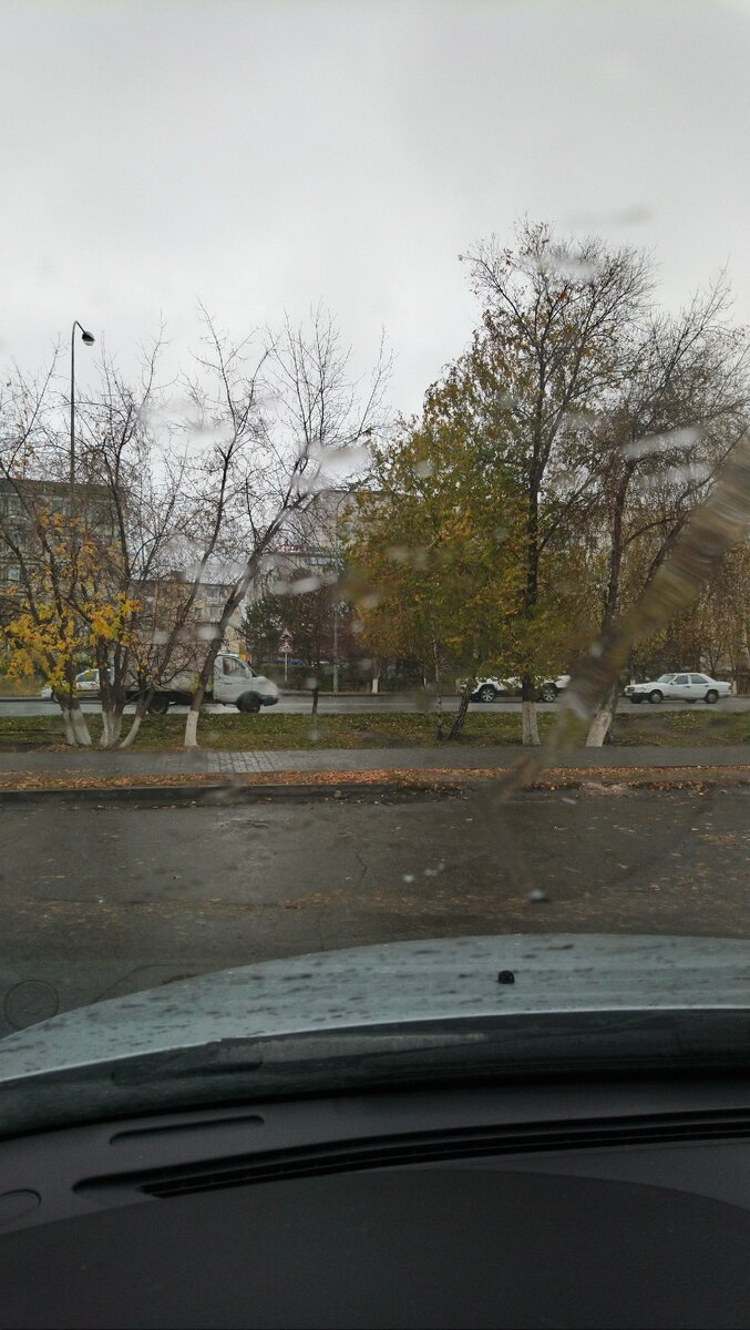Первый снег, 17.10.2019