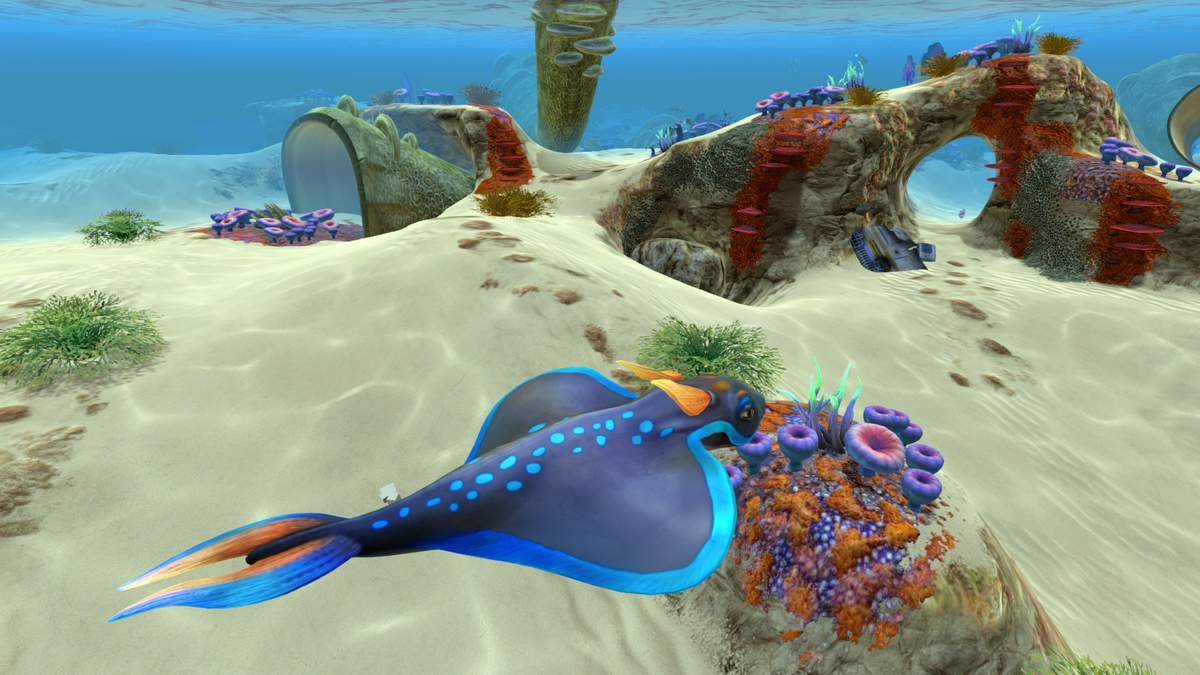 Мод на сабнатику мультиплеер. Сабнатика трусоватый Скат. Subnautica игра. Сабнатика морской топтун. Трусоватый Скат субнаутика