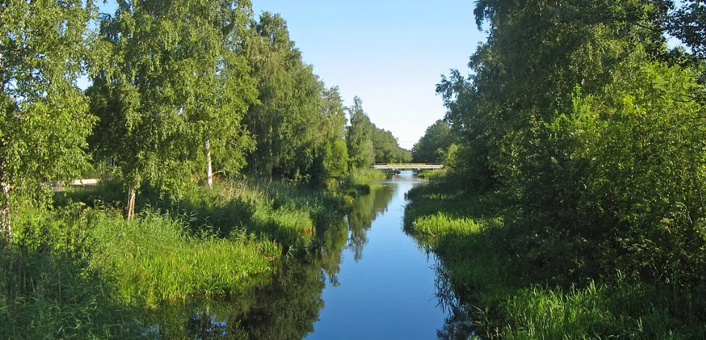 Совсем зарос. С берега ловить сложно, на лодке - опасно