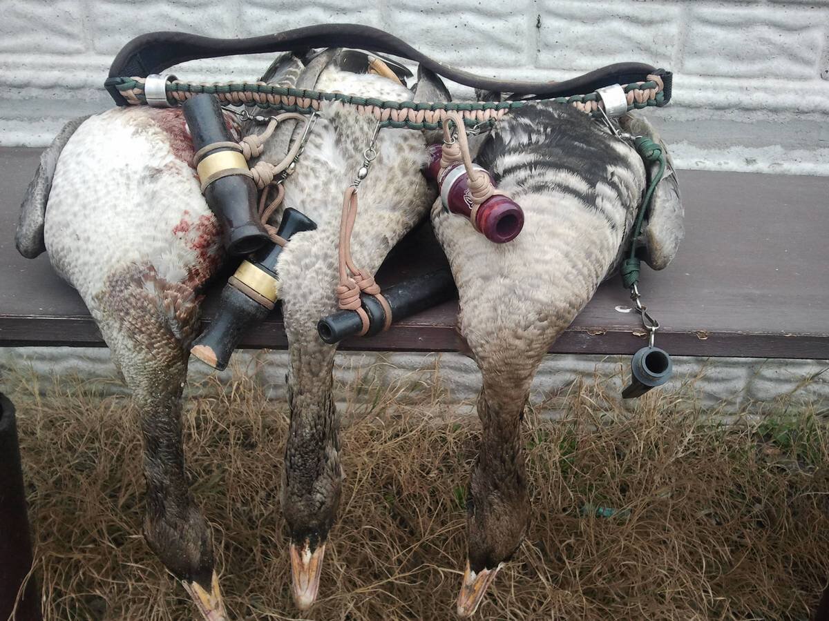 АВТОР СТАТЬИ: АЛЕКСАНДР КУДРЯ