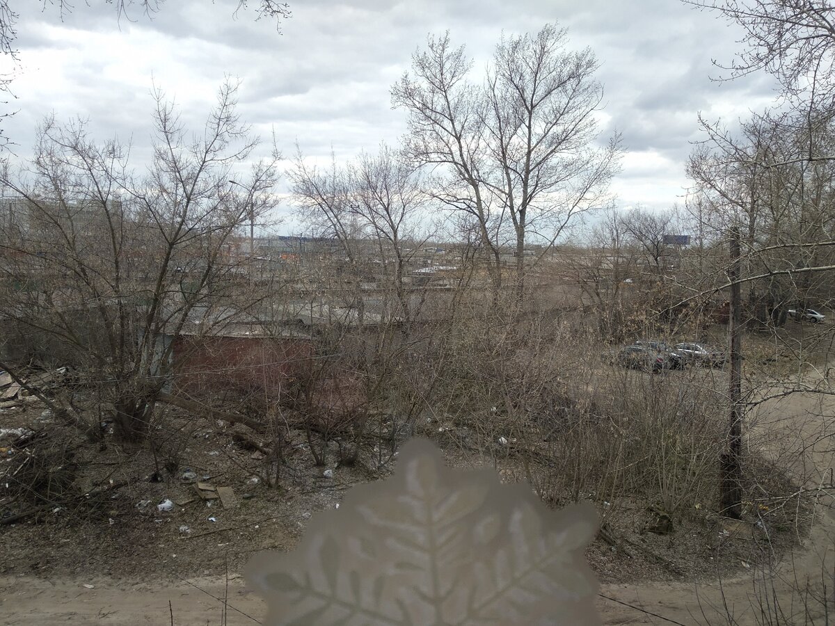 вид из окна, 03.04.2020 жуть, да) в снегу оно всё лучше. Или в листве. А скоро вооон там зацветёт черёмуха. 