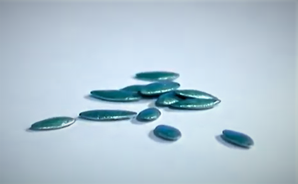 инкрустированные семена