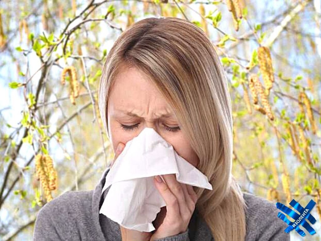 Симптомы аллергии на берёзу