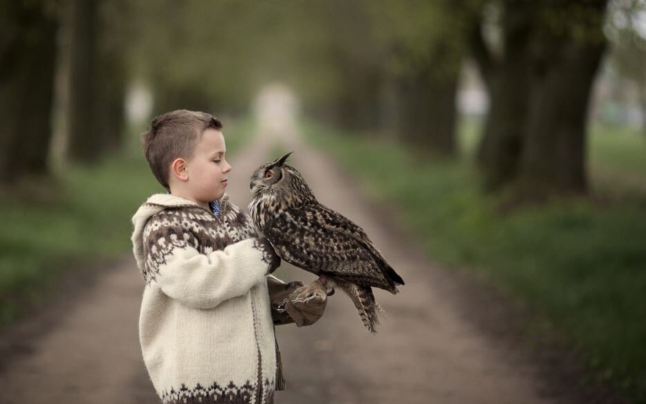 Дима и Совенок