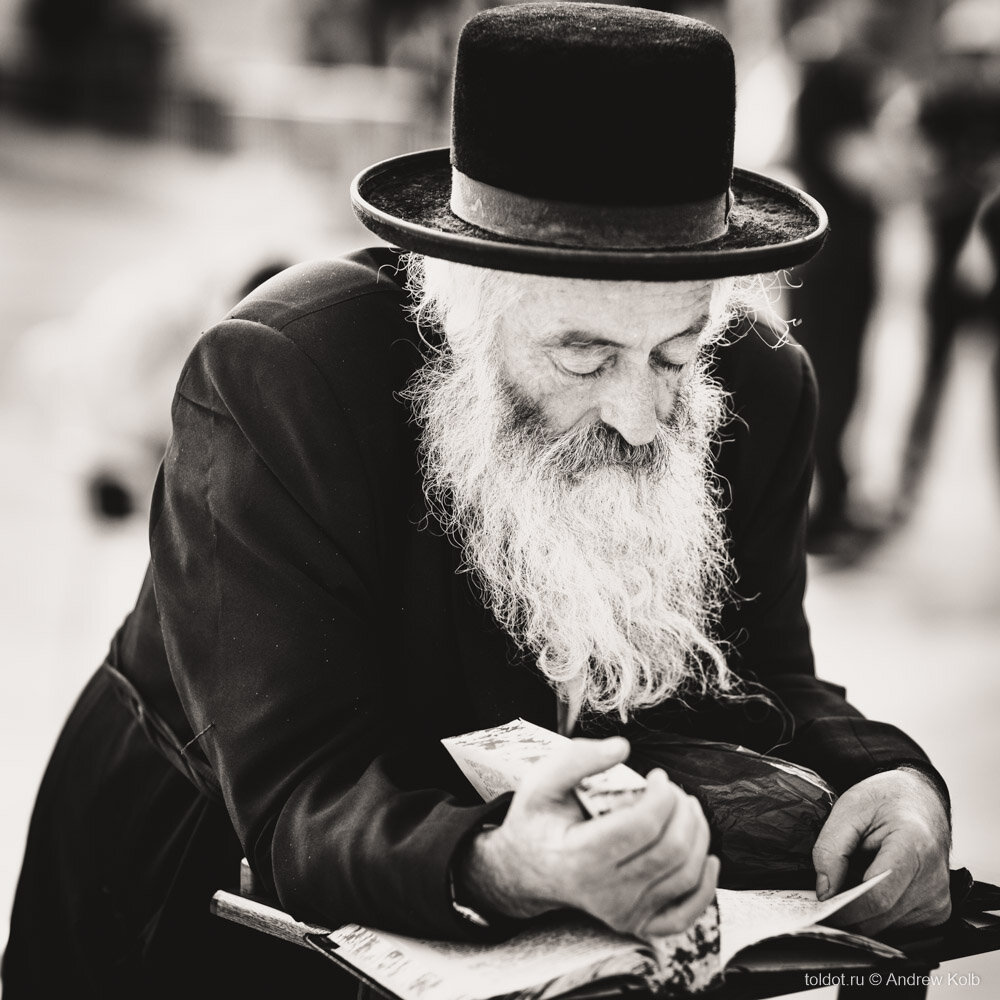 Фото из свободного источника