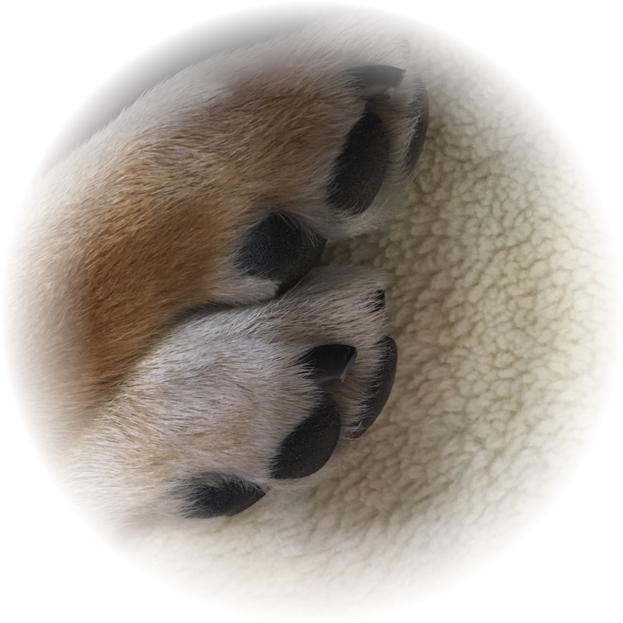 Вот такой природный маникюр у Тимо