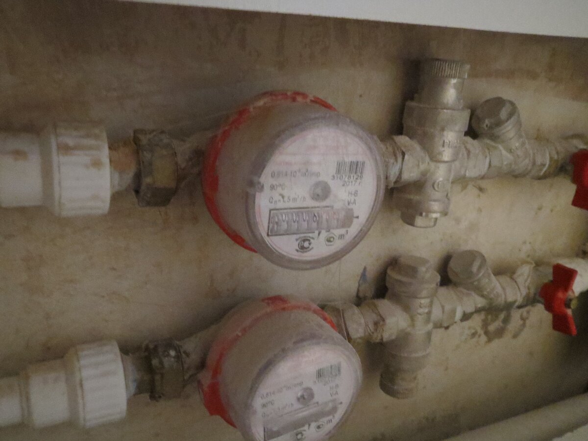 Фото автора.