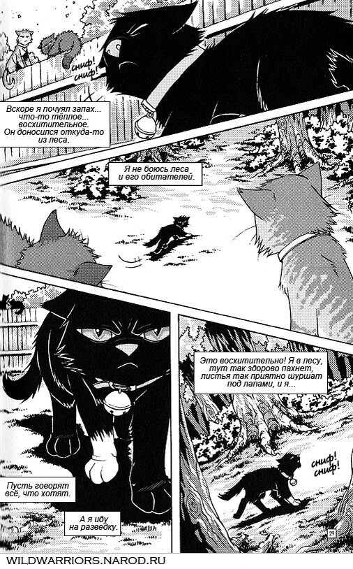 Коты воители книга бич путь к власти. Коты воители восстания беча. Бич коты воители манга книга. Коты воители бич. Коты воители бич манга.