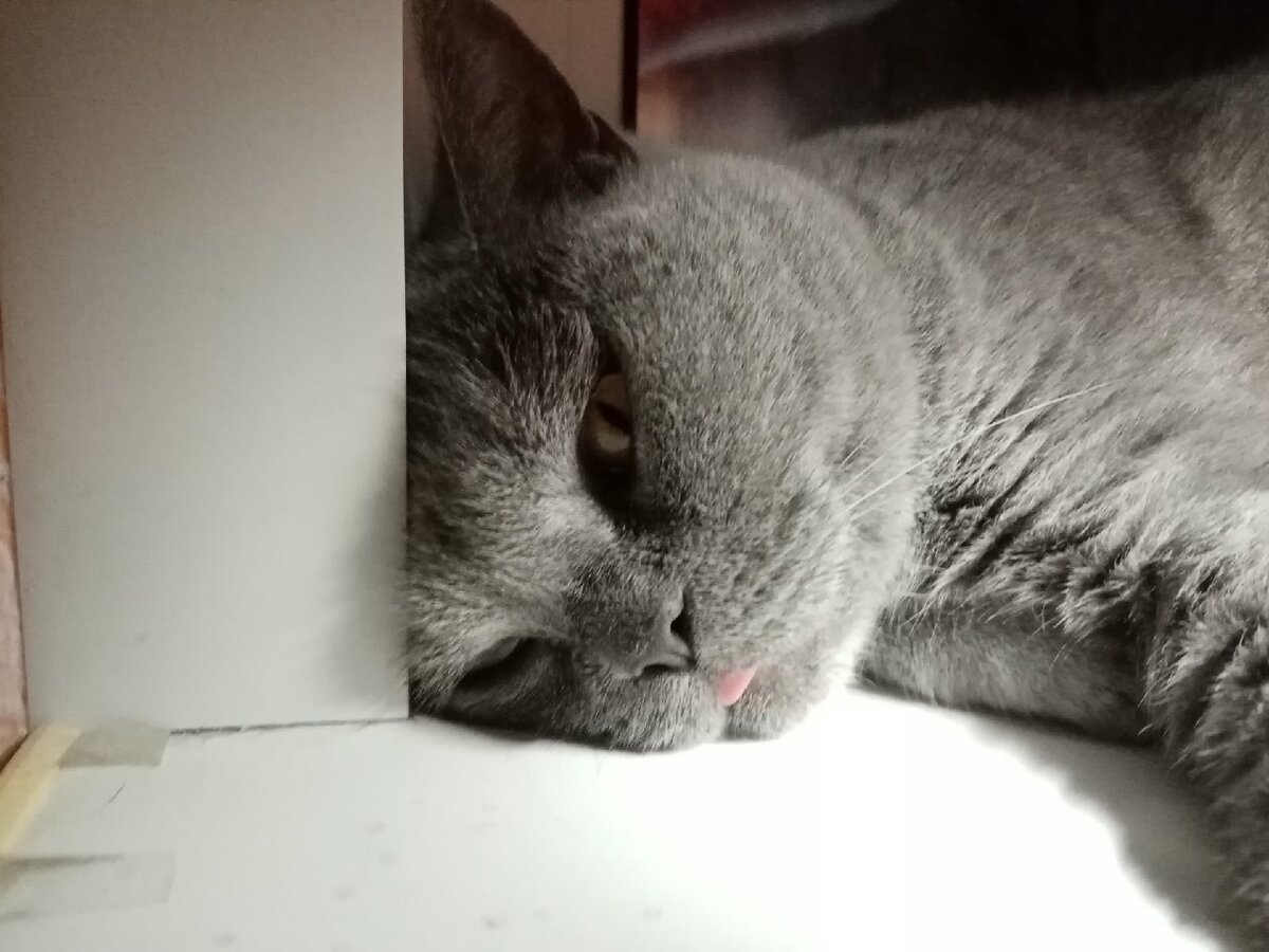 Слишком жаркое лето