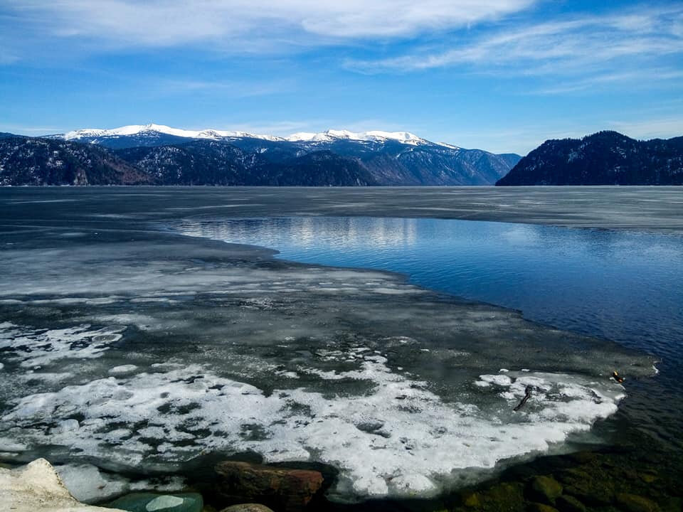 Источник: Алтайский заповедник /Роман Воробьев и Татьяна Клименко