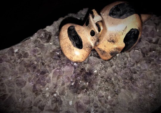 ,,Четверостишия о четвероногих,,