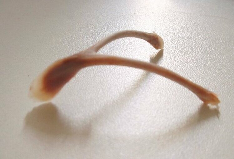 
Источник: wikipedia.org